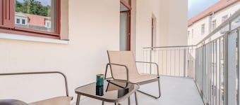 Palais Green - Vineyard View from balcony - free parking & cozy