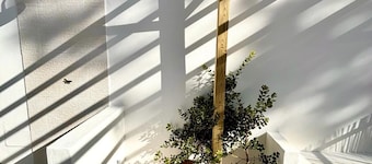 Pine & Apple Sintra Beach House – Calm Coastal Retreat Near the Sea