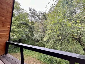 Property grounds - Running Spring Retreat-Cozy Forest A-Frame near Bentonville (Benton County)