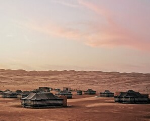 Miscellaneous - Desert wondersCamp (Bidiya)