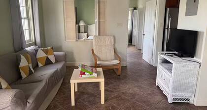 The Palms apt 1