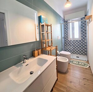 Shower, hair dryer, bidet, towels