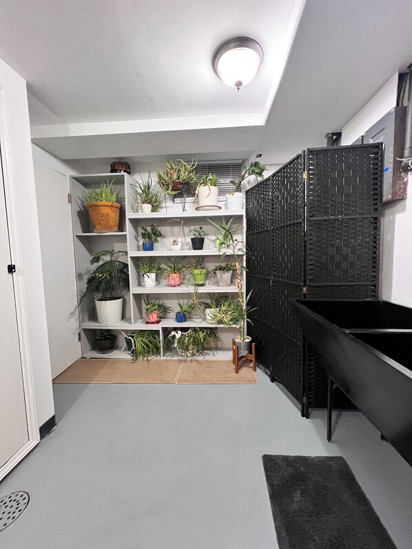 Una cocina compacta con estanterías blancas, varias plantas en macetas, un bote de basura negro y un techo con tragaluces.