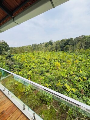 Property grounds - Estate stay near Dubare: Friendly For remote work (Attur Forest)