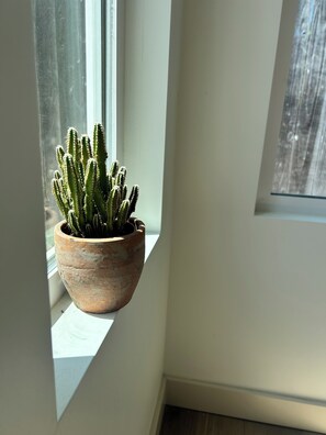 Interior - New Luxury ADU Close to Everything (Los Angeles)