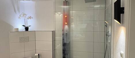 Dusche, Haartrockner, Handtücher, Seife