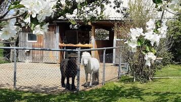 Áreas de la propiedad