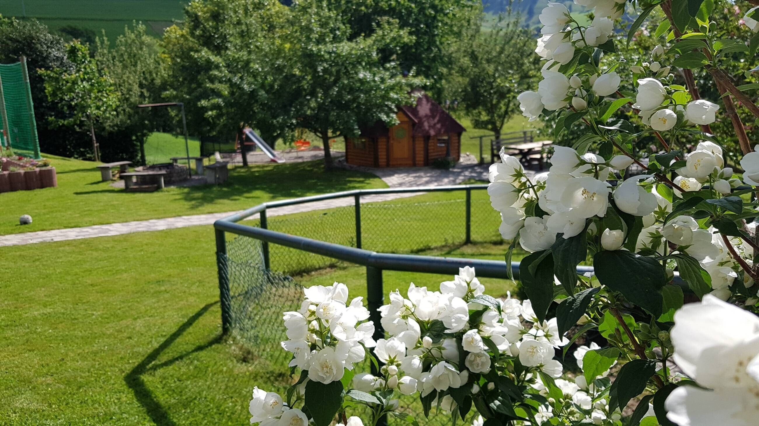 Jardines del alojamiento