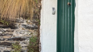 Un mur de pierre orné de fougères, une porte verte et un interphone fixé au mur.