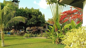 A well-maintained lawn, a water tank, and various tropical plants.