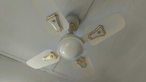 A ceiling fan with four blades and a central light fixture.