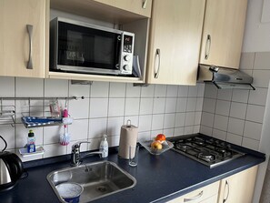 Fridge, microwave, stovetop, dishwasher - Vacation home Sommerflieder (De Cocksdorp)