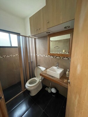 Shower, hair dryer, soap, toilet paper