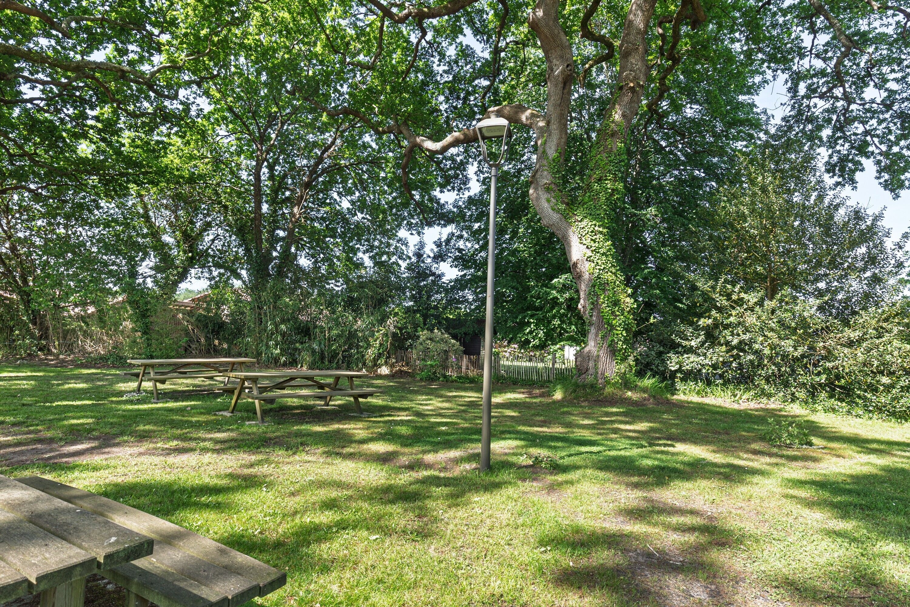 Buiten dineren