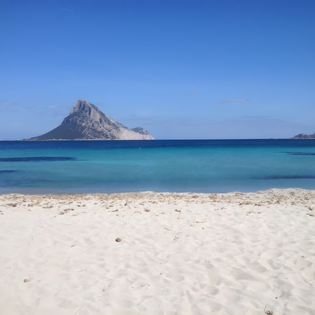 Una spiaggia nelle vicinanze. Bilocale Vista Mare a 250 m dalla Spiaggia con Terrazza Privata e Aria Condizionata