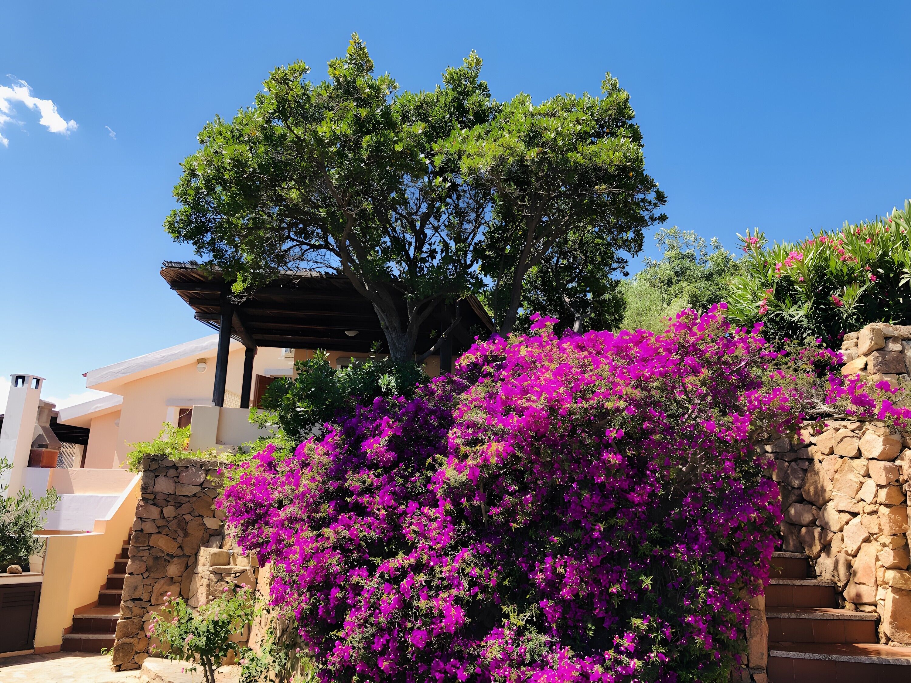 Jardines del alojamiento