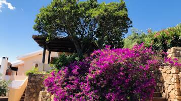 Jardines del alojamiento