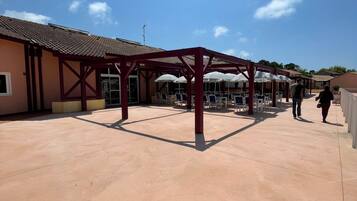 Terras