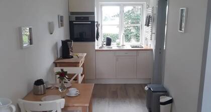 Cozy 1-room apartment with large terrace