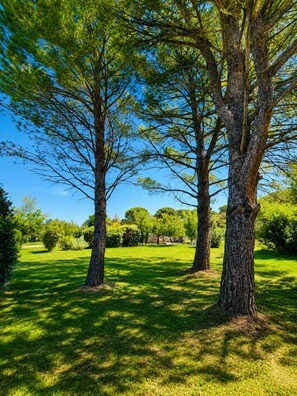 Un parc avec de grands arbres, une pelouse bien entretenue et un ciel dégagé.