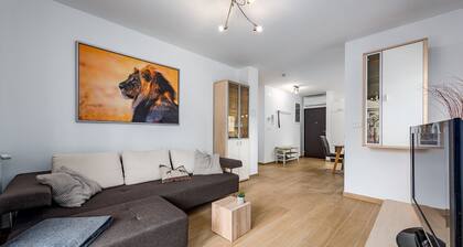 Impressive apartment 550 metres from the beach with a great sun terrace