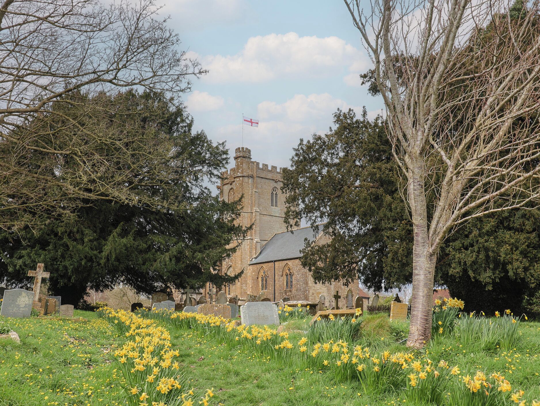 Een kerk met een toren, omgeven door een begraafplaats met grafstenen en narcissen.