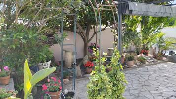 Terrein van de accommodatie