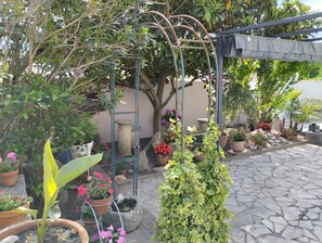 Terrein van de accommodatie