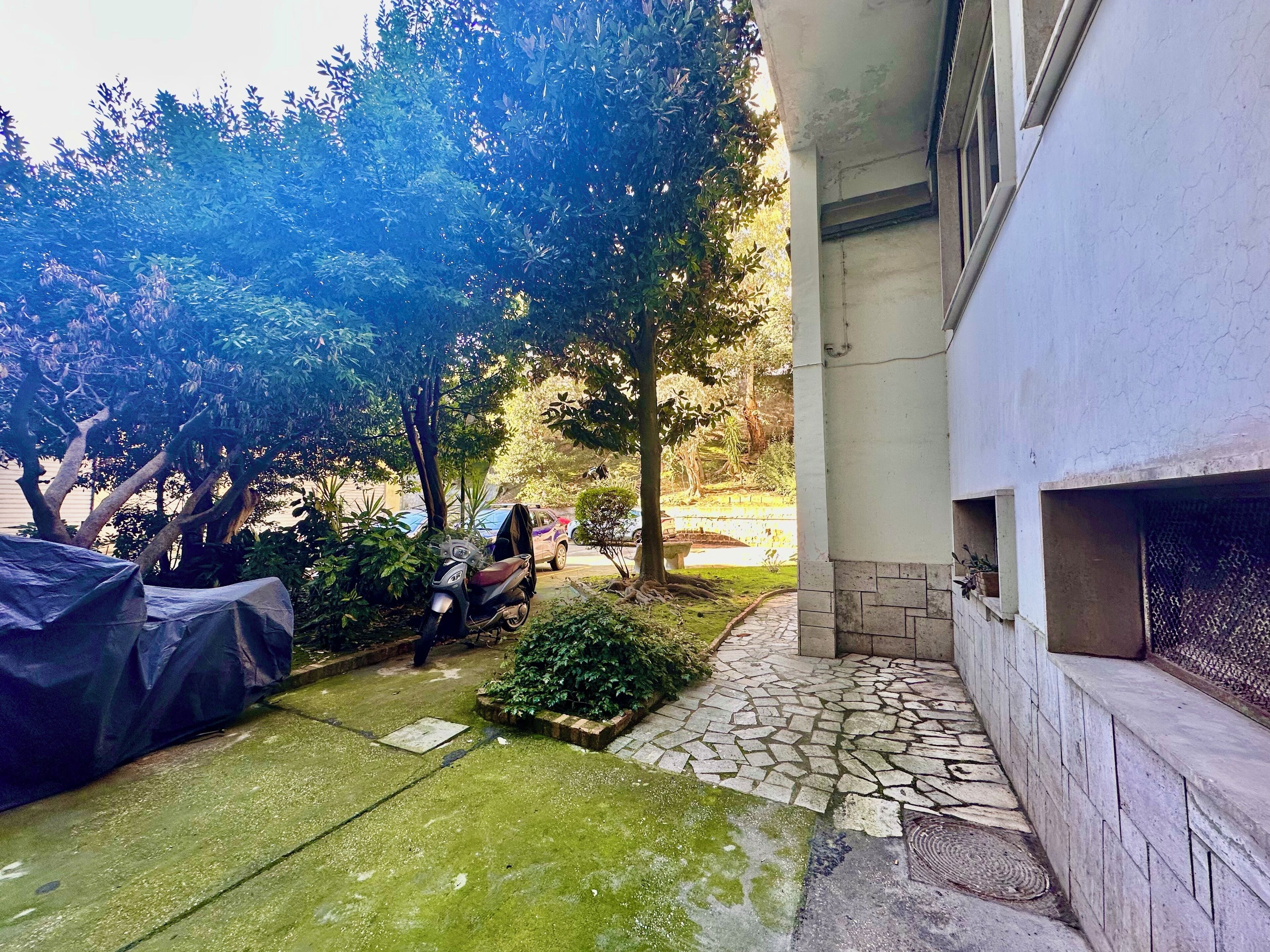 Área da propriedade