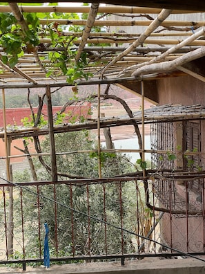 A bamboo trellis structure with vines growing through it, a metal fence with a blue ribbon, and a view of a red building and trees in the background.