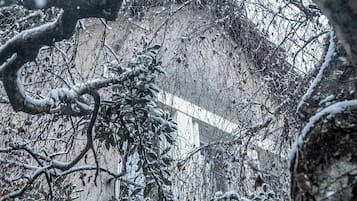 DĂ©tail de lâextĂ©rieur