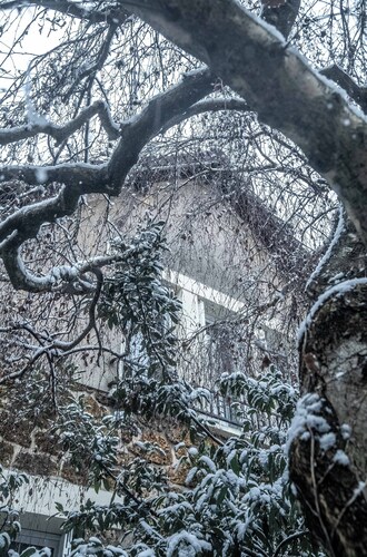 House next to Parc de Sceaux - 20 mins from Paris with train