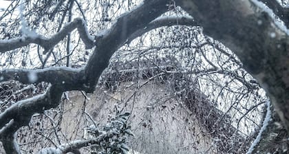 House next to Parc de Sceaux - 20 mins from Paris with train