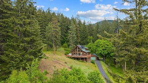 Une cabane dotée d’une terrasse, entourée d’une forêt dense et surplombant un ciel dégagé.
