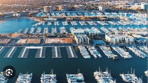 Vista aérea de un puerto deportivo con numerosos barcos amarrados en un patrón circular, rodeado de edificios residenciales y una gran masa de agua.
