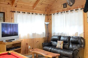 TV connectée, cheminée