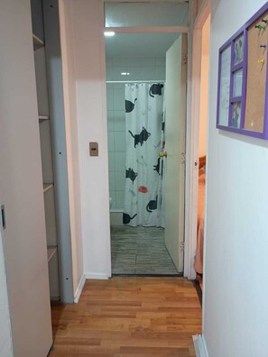 Interior - Apartment steps from the subway and tourist sites (Santiago)