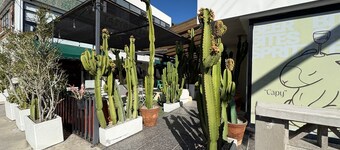 Coyote Lofts