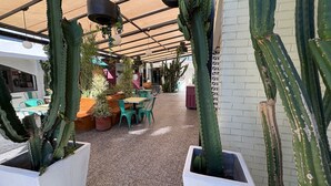 Una terrassa de cafeteria amb taules i cadires, envoltada de cactus i plantes en testos.