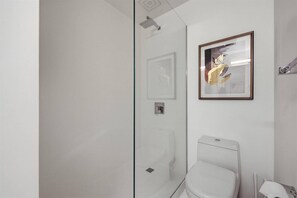 Shower, hair dryer, shampoo