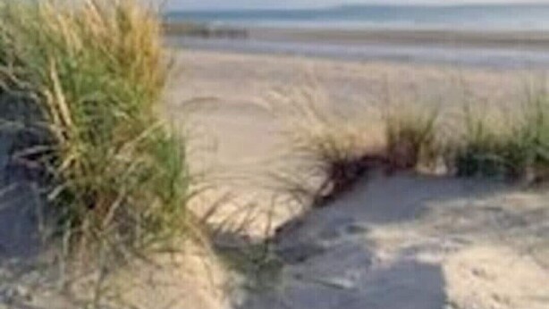 Una playa con arena y vegetación escasa.
