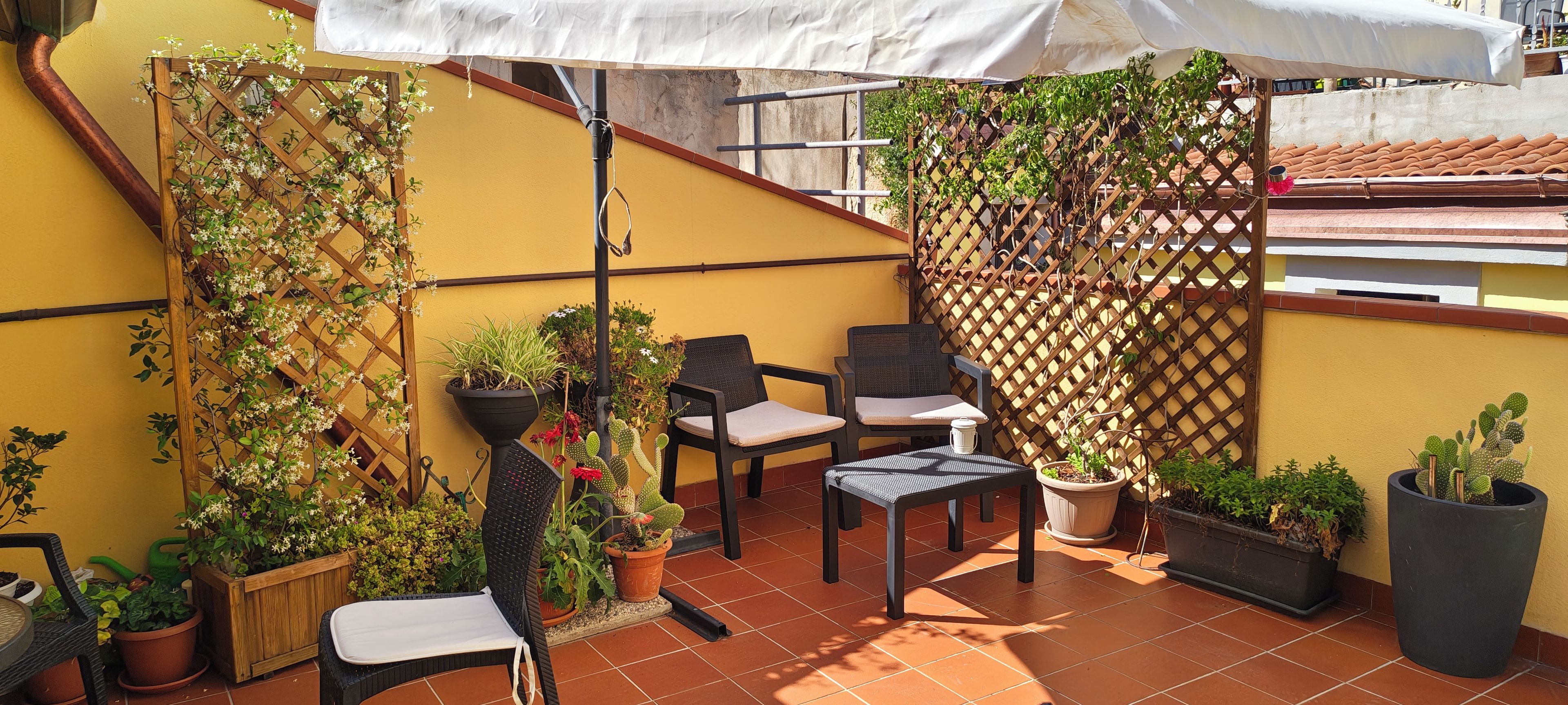 A terrace with a wooden lattice, potted plants, a table, and two chairs.