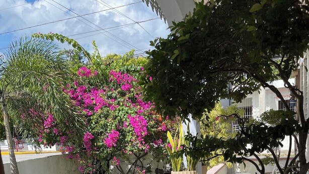 Unclassified image, 1 of 13, button - CLASSIC 1970'S STYLE HOUSE NEXT TO THE BEACH (Rio San Juan)