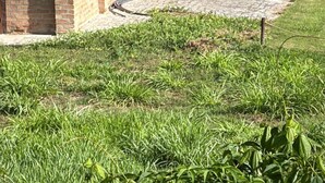 Ένα ρουστίκ κτίριο με κεραμοσκεπή, υπαίθριο χώρο για καθιστικό και εξωτερική όψη από τούβλα.