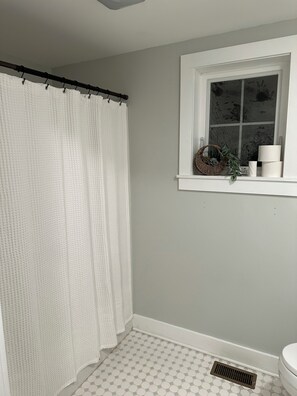 Bathroom - Lovely 1-bedroom house on over 2 acres in welcoming East Flat Rock (East Flat Rock)