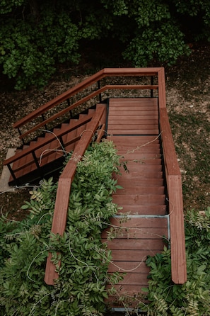 A wooden staircase surrounded by dense foliage. - Indian Point Waterfront Home w/ Wraparound Deck (Garfield)