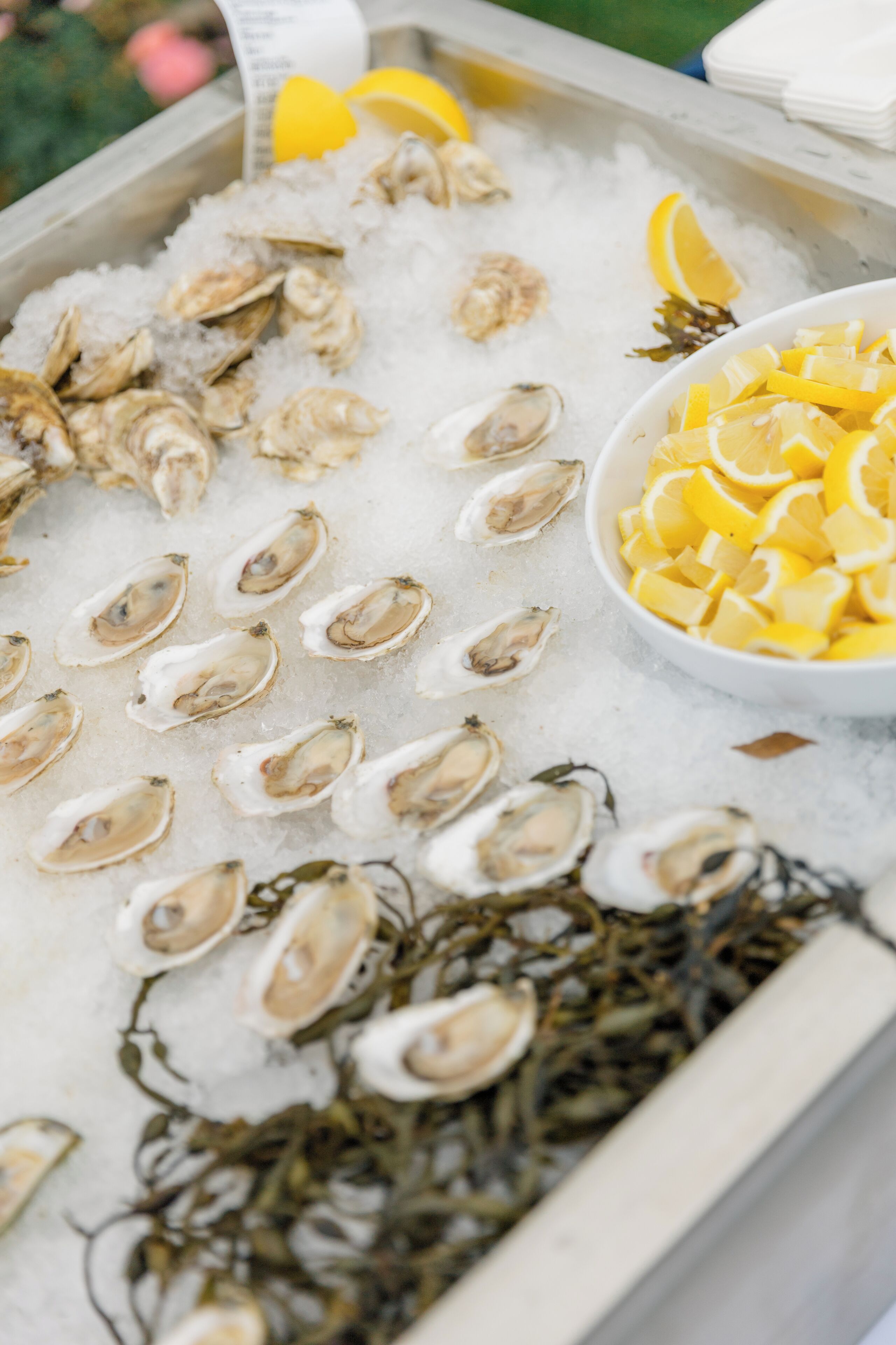 A display of oysters on ice with lemon wedges and seaweed.
