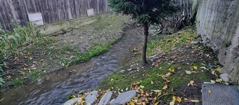 🏡 Casa Cioran - Casă de vacanță în Gura Râului – relaxare în inima Mărginimii