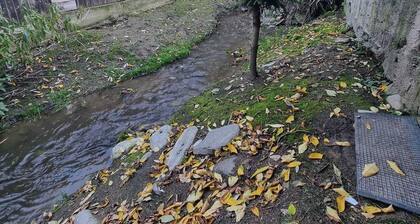 🏡 Casa Cioran - Casă de vacanță în Gura Râului – relaxare în inima Mărginimii