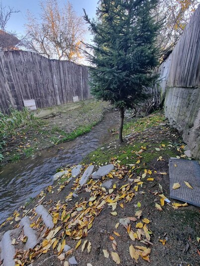 🏡 Casa Cioran - Casă de vacanță în Gura Râului – relaxare în inima Mărginimii